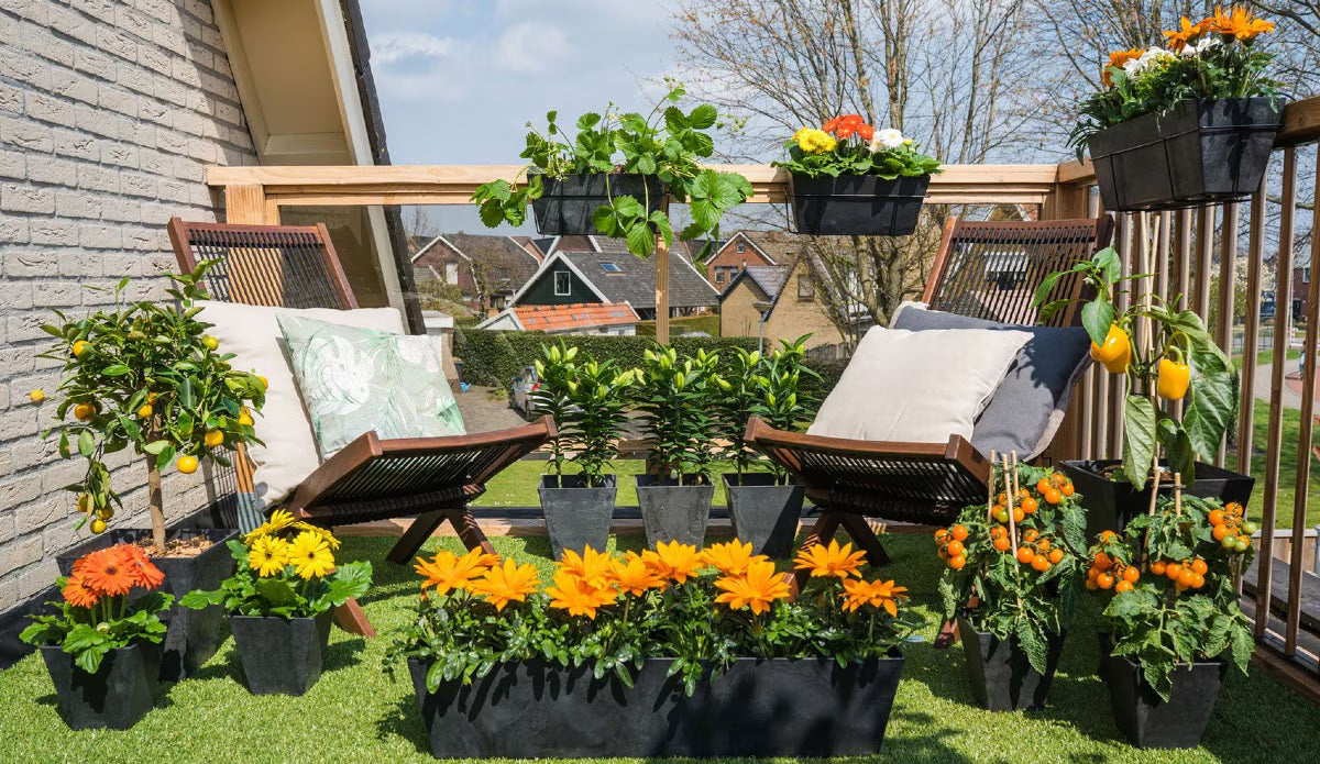 Balcony Garden Kits