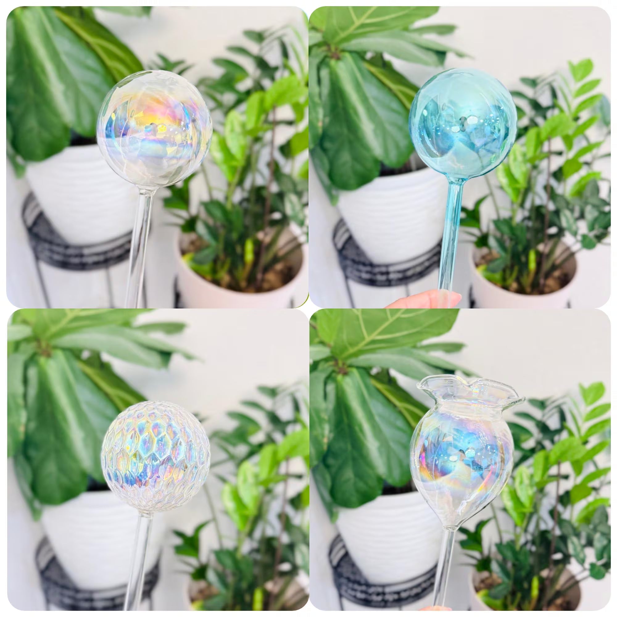 Watering & Essentials