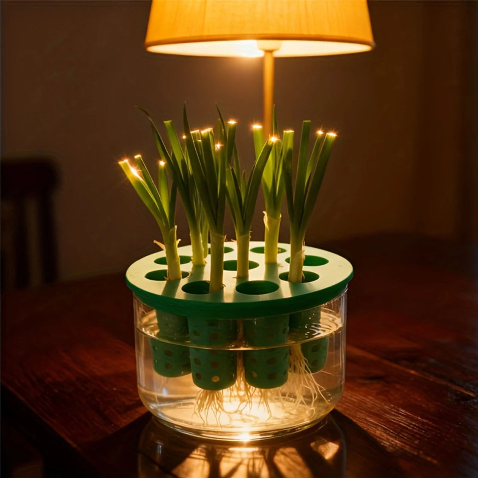 9-Hole Hydroponic Planter