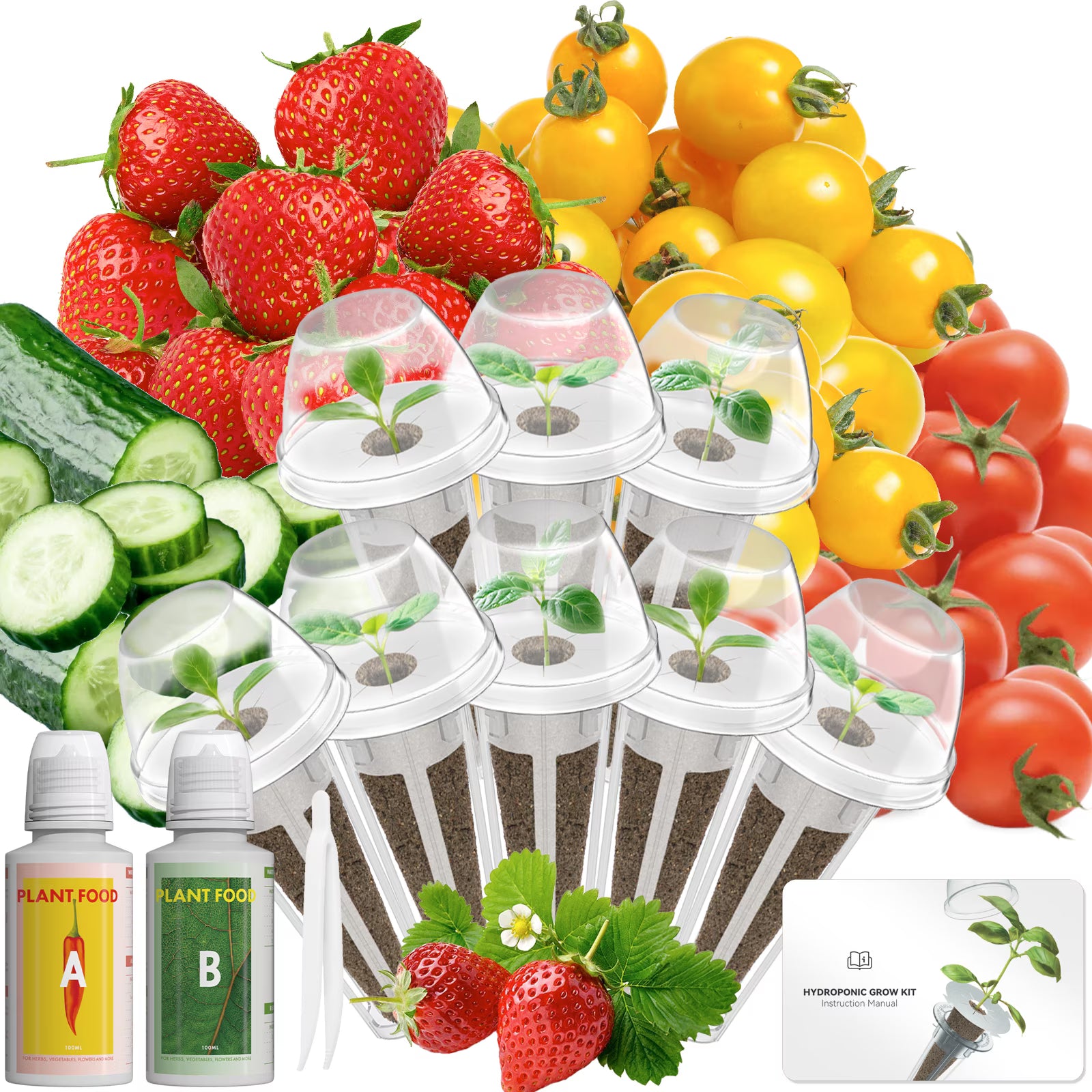 Fruits Seed Pod Kit — 8-Pod