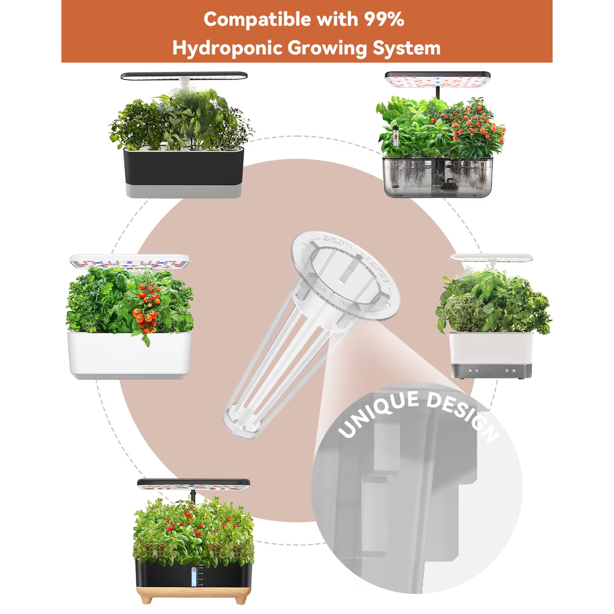 Fruits Seed Pod Kit — 8-Pod