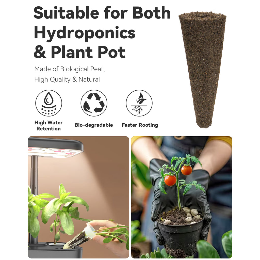 Fruits Seed Pod Kit — 8-Pod