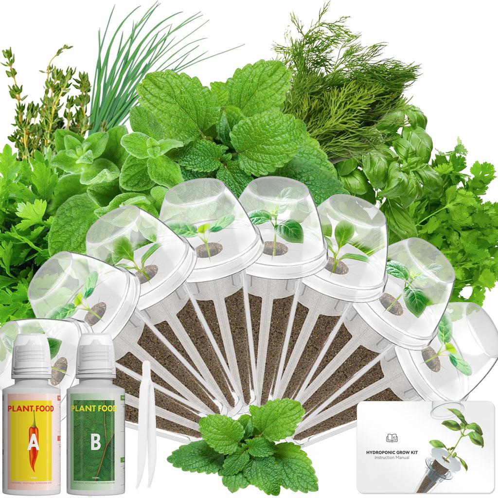 Gourmet Herb Seed Pod Kit — 8-Pod