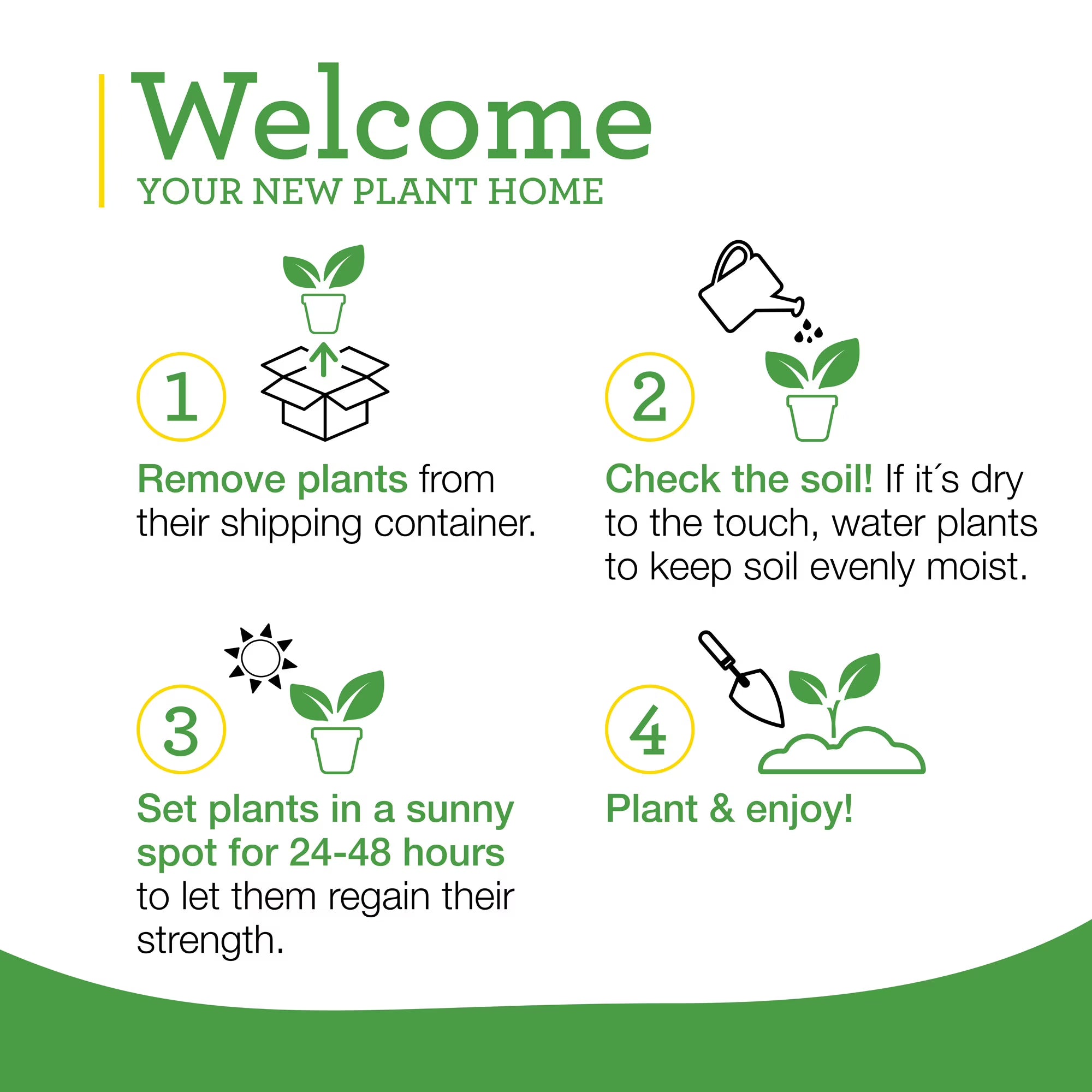 Bonnie Plants Big Boy Tomato  2-Pack